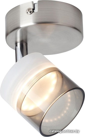 

Спот Toplight Rosa TL1230Y-01SN
