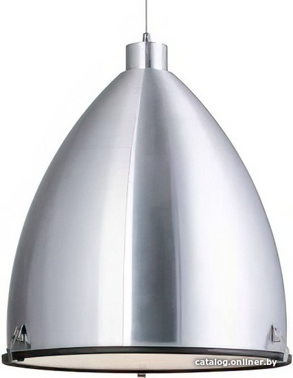 

Подвесная люстра Lucide Loft 31416/50/12