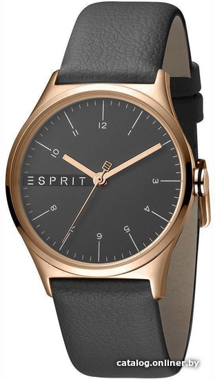

Наручные часы Esprit ES1L034L0045