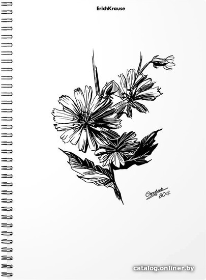 

Набор тетрадей Erich Krause Blossom Black and White 80 л клетка 080242454-54119 (2 шт)