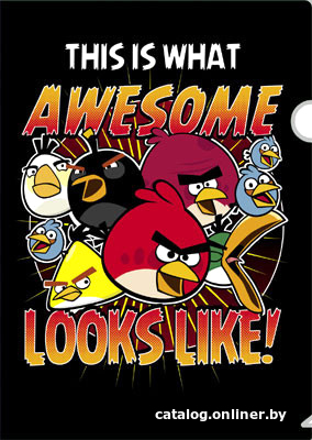 

Папка-уголок Hatber Angry Birds AG4_10908