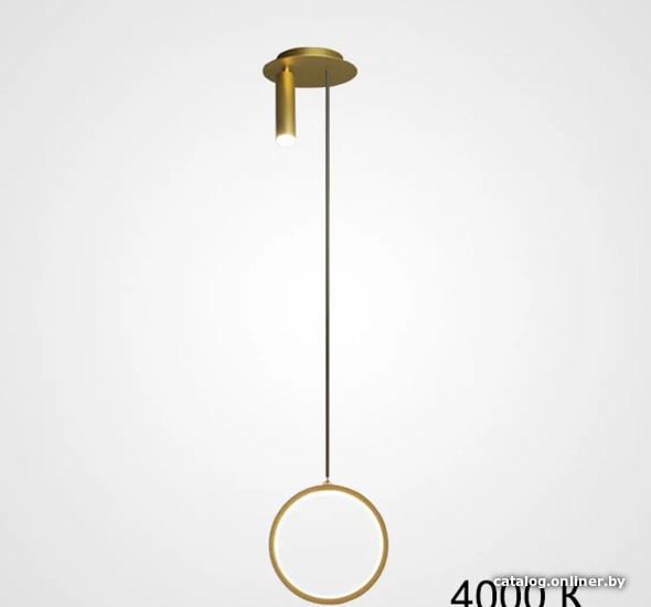 

Подвесная люстра ImperiumLoft String01 213717-26