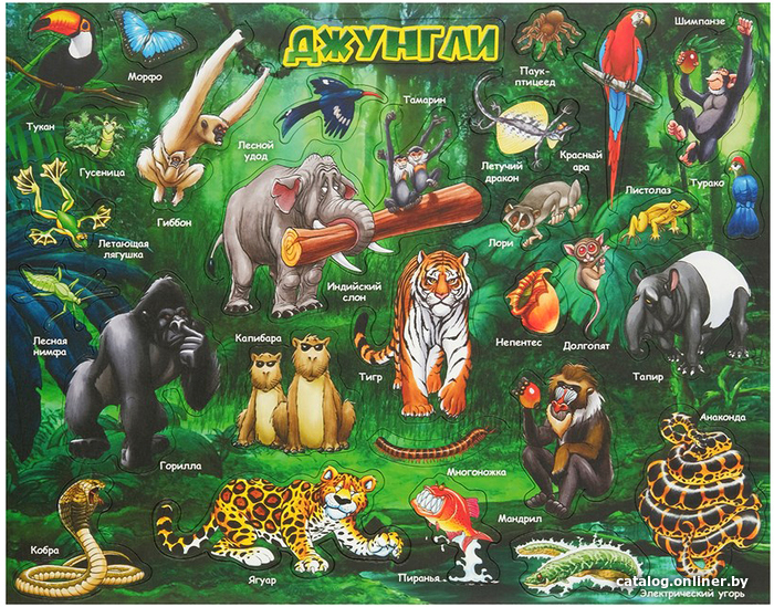 

Мозаика/пазл АГТ Геоцентр Животный мир джунглей DJU_MAG