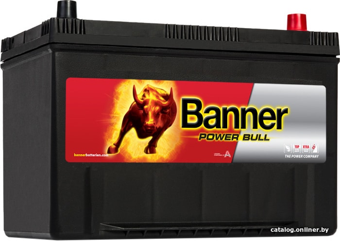 

Автомобильный аккумулятор Banner Power Bull P95 04 (95 А·ч)