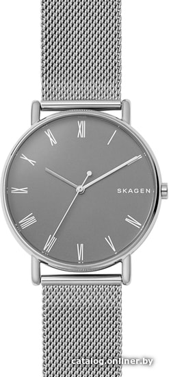 

Наручные часы Skagen SKW6428