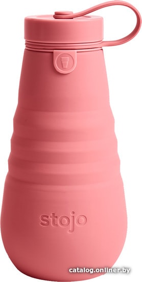 

Бутылка для воды Stojo W1-BRY