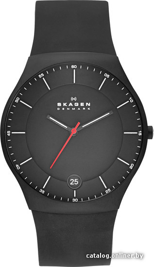 

Наручные часы Skagen SKW6087
