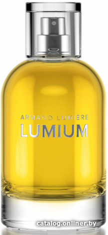 

Парфюмерная вода Lumium 520 EdP (90 мл)