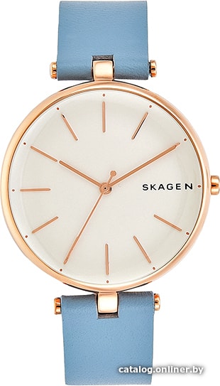 

Наручные часы Skagen SKW2711