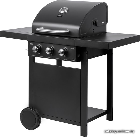 

Газовый гриль для дачи Teesa BBQ 3000 (черный)