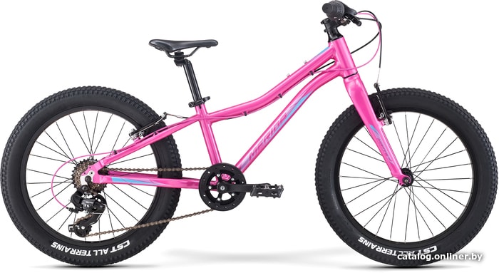 

Детский велосипед Merida Matts J20+ Eco 2021 (розовый)