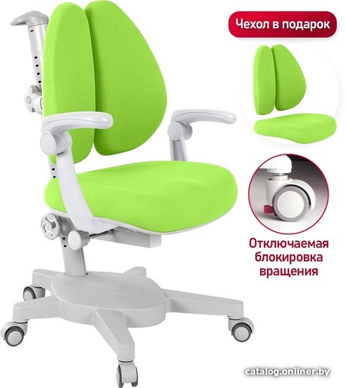 

Детское ортопедическое кресло Anatomica Armata Duos с подлокотниками (зеленый)
