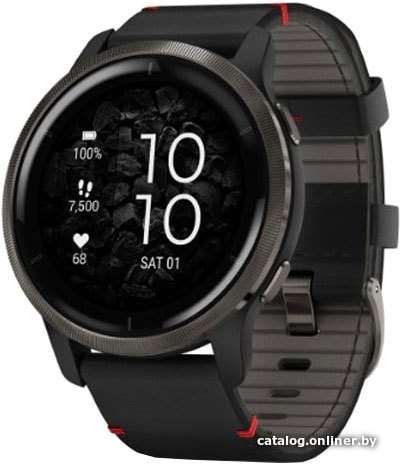 

Умные часы Garmin Venu 2 (нержавеющая сталь/черный кожаный)