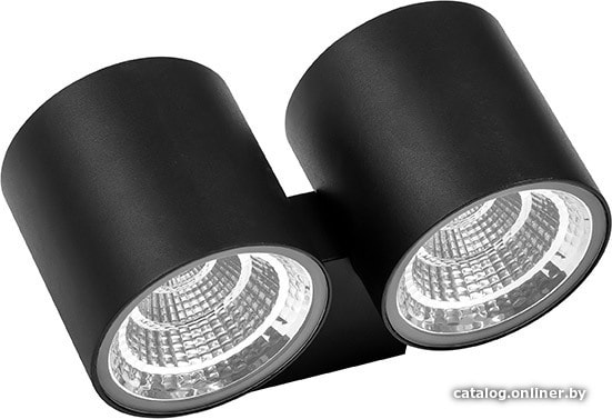 

Фасадный светильник Lightstar Paro 362674
