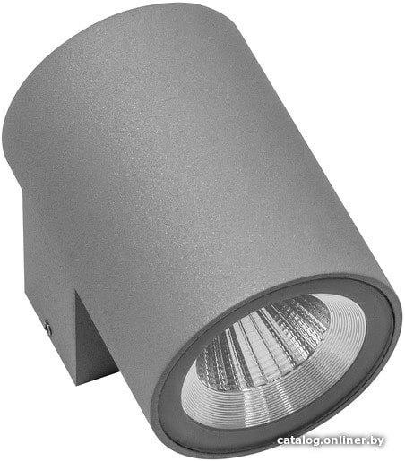 

Фасадный светильник Lightstar Paro 350692