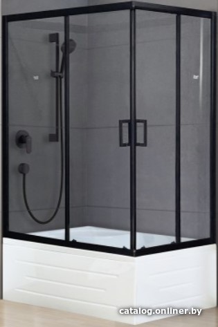 

Душевой уголок Royal Bath RB8100BP-T-BL-L 100x80
