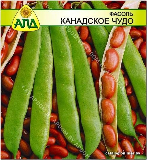 

Семена АПД Фасоль Канадское Чудо 30 шт