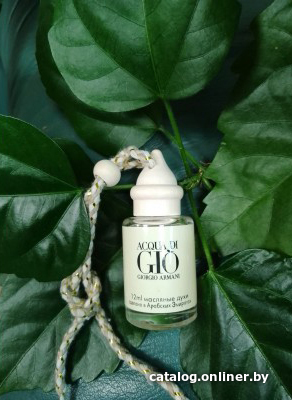 

Zolstar Giorgio Armani Acqua Di Gio (m)