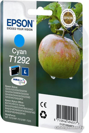 

Картридж Epson C13T12924011