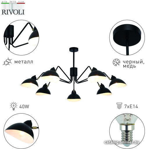 

Люстра средней высоты Rivoli Geraldine Б0055673