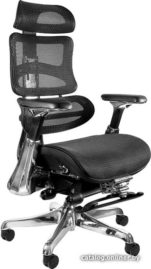 

Кресло UNIQUE Ergothrone CM-B37A-2 (черный)