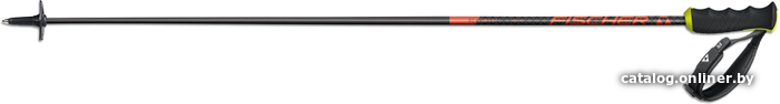 

Лыжи Fischer Rc4 The Curv CF Z30020 (110 см)