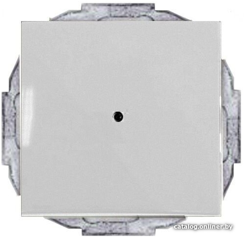 

Декоративная заглушка ABB Basic 55 1715-0-0316 (шале-белый)