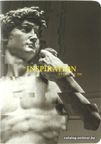 

Полуобщая тетрадь Be Smart Inspiration Давид N2488 (48 л, серый)