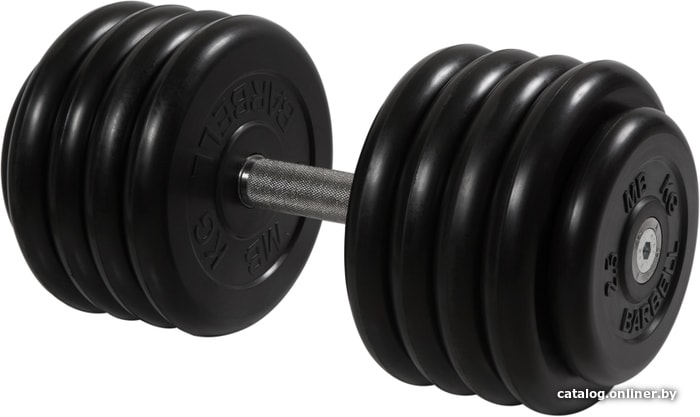 

Гантель MB Barbell Профи 46 кг (вращающаяся ручка)
