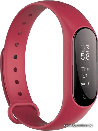 

Фитнес-браслет Smarterra FitMaster 2 (красный)