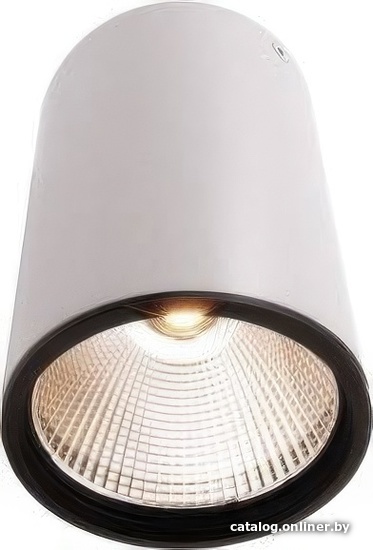 

Точечный светильник Deko-Light Luna 348059