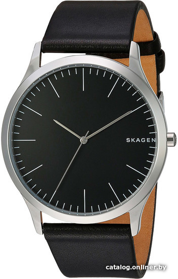 

Наручные часы Skagen SKW6329