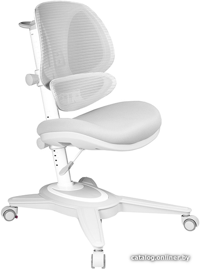 

Детский ортопедический стул Anatomica Funken