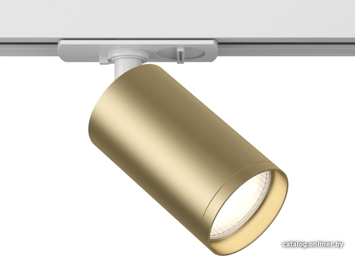 

Трековый светильник Maytoni TR020-1-GU10-WMG