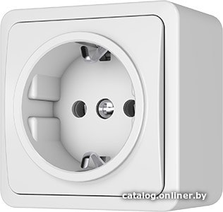 

Розетка Vilma Style plus SL+250 RP16-002 ww