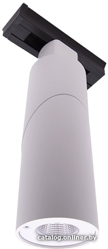 

Точечный светильник DesignLed LDT-RWT-10W-WW