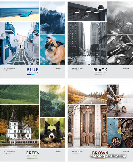 

Общая тетрадь ArtSpace клетка Стиль. Color collection Т48кЭ_42994 (48 л)