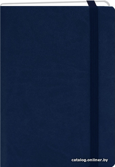 

Ежедневник Канц-Эксмо Congress. Индиго ЕКК52215205 (152 л)