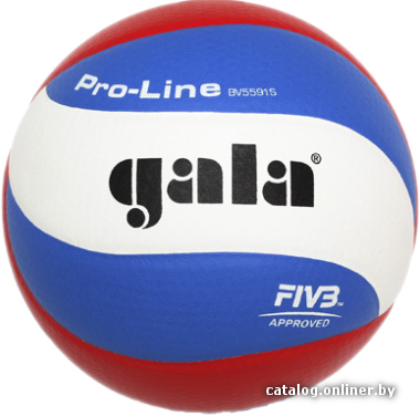 

Волейбольный мяч Gala Pro Line BV5591S (5 размер)