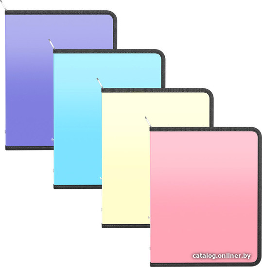 

Набор папок Erich Krause Matt Pastel A5+ ассорти 55063 (4 шт)