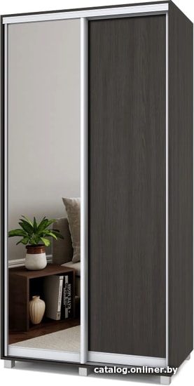 

Шкаф-купе Modern Роланд 1100 (600) (венге/зеркало)