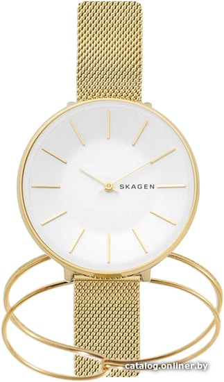 

Наручные часы с украшением Skagen SKW1104