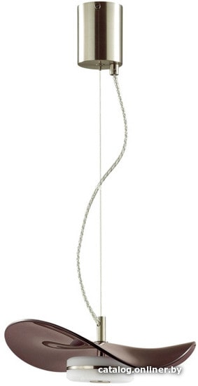 

Подвесная люстра Odeon Light L-vision 4857/10LA
