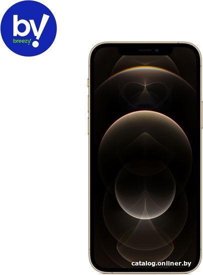 Apple iPhone 12 Pro 128GB Восстановленный by Breezy, грейд B (золотистый)  смартфон купить в Минске