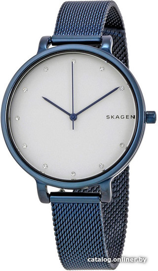 

Наручные часы Skagen SKW2579