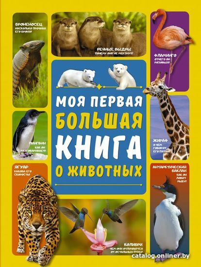 

Книга издательства АСТ. Моя первая большая книга о животных
