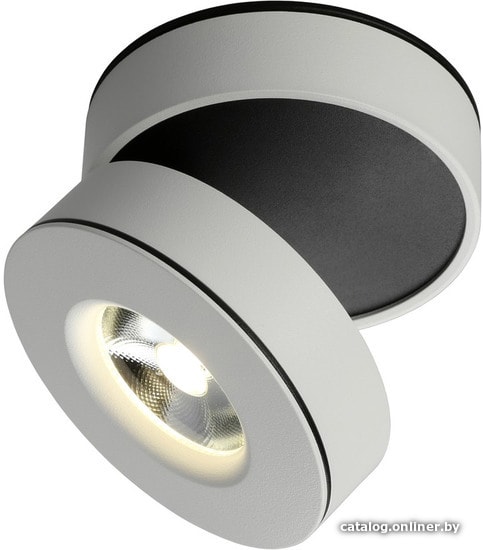 

Спот Omnilux Borgetto OML-101909-12