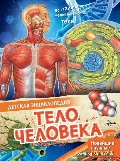 

Книга издательства АСТ. Тело человека 978-5-17-146617-6 (МакРей Энн)