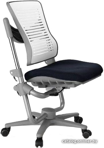 

Детское ортопедическое кресло Comf-Pro Angel Chair (чёрный/белый)