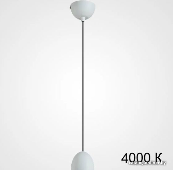 

Подвесная люстра ImperiumLoft diego01 214162-23